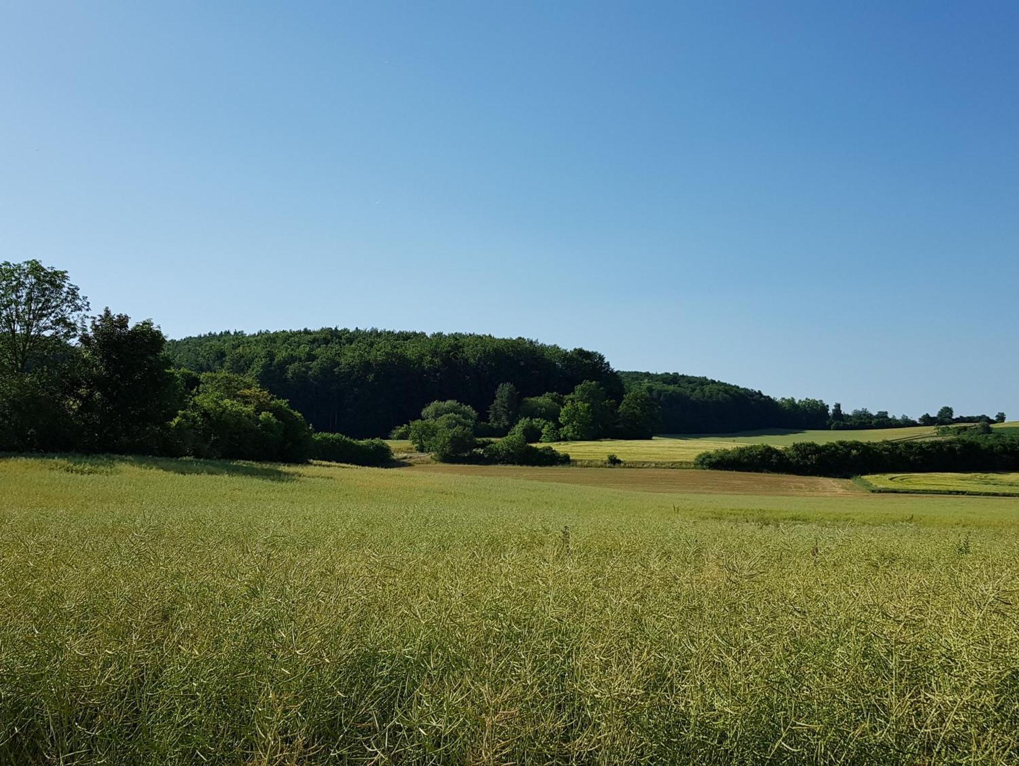 Ferienhaus Forstblick Betzenstein エクステリア 写真