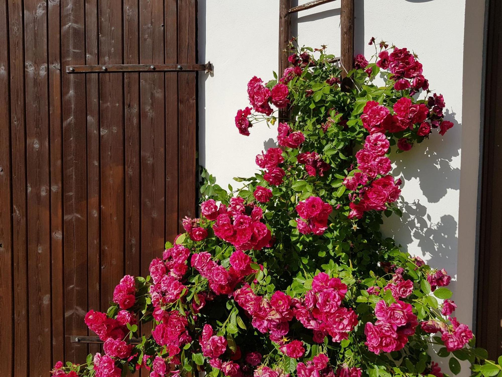Ferienhaus Forstblick Betzenstein エクステリア 写真