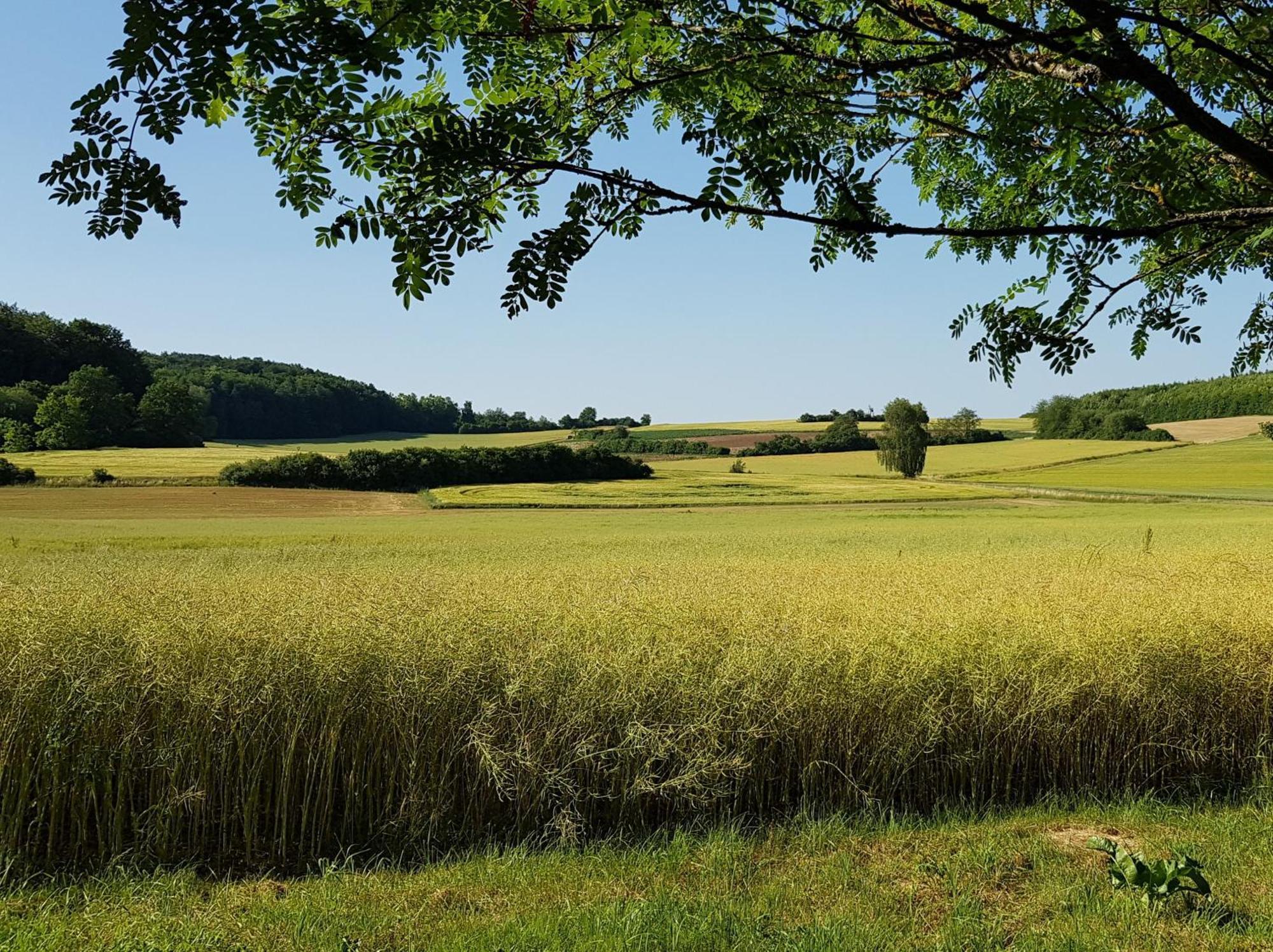Ferienhaus Forstblick Betzenstein エクステリア 写真